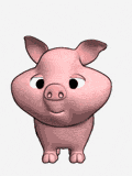 cerdo.gif